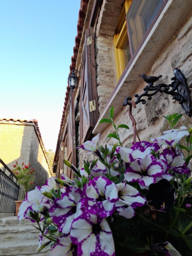 Sari Keci Tas Otel İmroz Exterior foto
